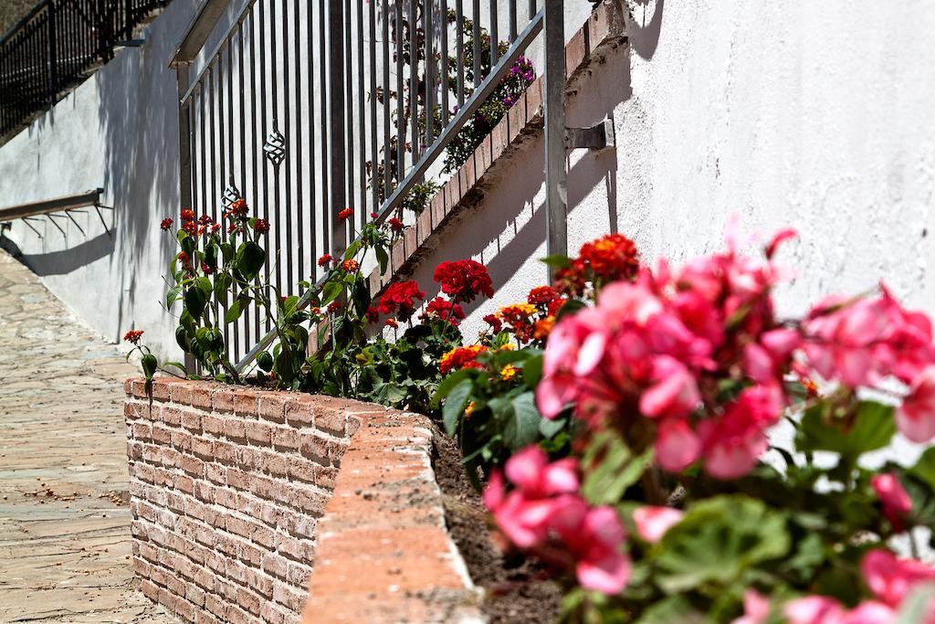 I Tre Pini Apartment Pollica Exterior photo